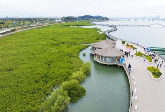 2024年1月23日拍攝的廈門市翔安區(qū)下潭尾紅樹林公園（無人機照片）。新華社記者 林善傳 攝