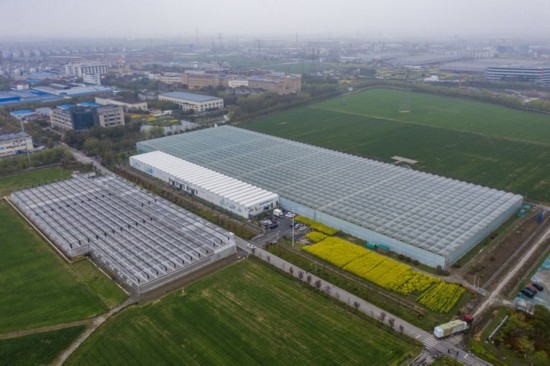 2024年3月28日，空中俯瞰嘉興南湖區(qū)湘家蕩農業(yè)數字化工廠（無人機照片）。該農業(yè)數字化工廠占地總面積約62畝，包含智慧農業(yè)生產、物聯(lián)網智能管理、自動分揀包裝、保鮮儲藏物流、高科技示范展示等五大功能區(qū)，可直接或間接培養(yǎng)帶動新型職業(yè)技術農民500人以上。新華社記者 徐昱 攝
