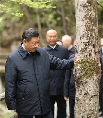 2020年4月，習(xí)近平總書記來(lái)到位于商洛市柞水縣的秦嶺牛背梁國(guó)家級(jí)自然保護(hù)區(qū)，考察秦嶺生態(tài)保護(hù)情況。新華社記者 鞠鵬 攝