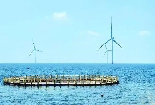 △山東萊州風(fēng)電項目實現(xiàn)了海上風(fēng)電和海洋牧場融合發(fā)展。