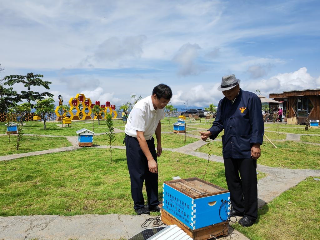 8月17日，中國農(nóng)業(yè)科學(xué)院蜜蜂研究所研究員黃家興（左）向巖翁介紹智能化蜜蜂飼養(yǎng)蜂箱。新華社記者吉哲鵬 攝