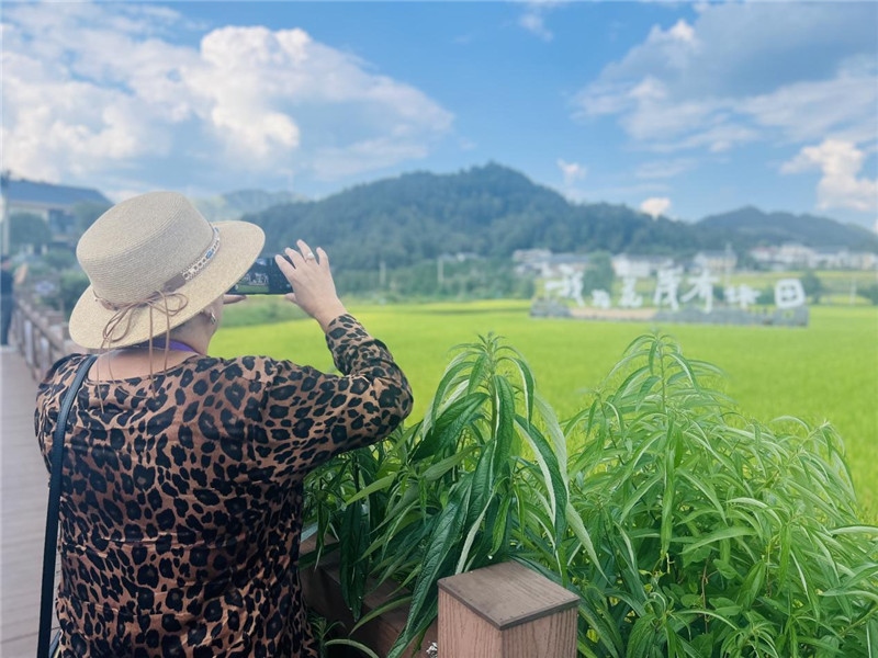 “我在花茂有塊田”，不僅是中國人的詩和遠方，也是塔吉克斯坦“阿維斯塔”通訊社總編輯占納特洪·庫爾班諾娃的“烏托邦”。（張亞欣攝）