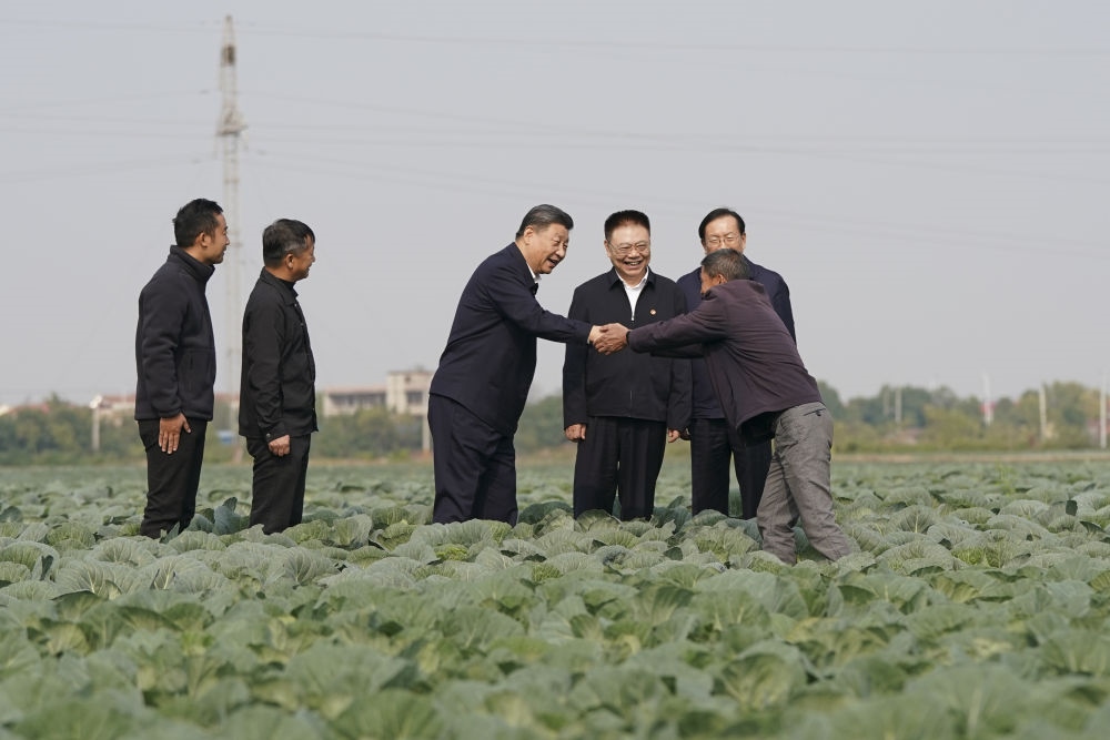 2024年11月5日，習(xí)近平在咸寧市嘉魚縣潘家灣鎮(zhèn)十里蔬菜長廊考察時(shí)，同菜農(nóng)親切交流。
