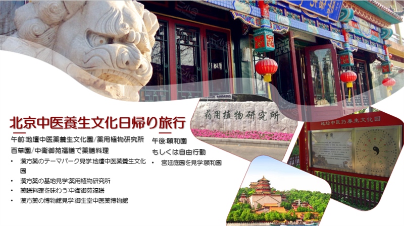 “你好！中國·休閑旅游—中國旅游說明會”宣講材料。中國駐東京旅游辦事處供圖