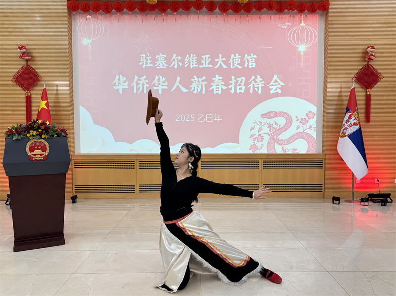 招待會(huì)現(xiàn)場(chǎng)表演。諾維薩德孔子學(xué)院供圖