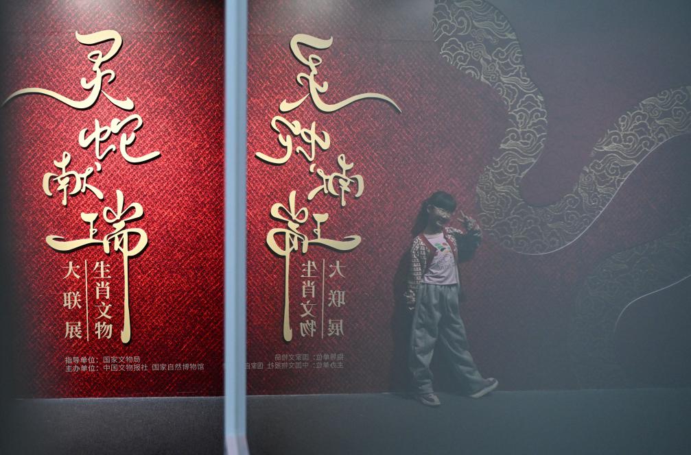 1月18日，一名小朋友在國(guó)家自然博物館舉辦的“靈蛇獻(xiàn)瑞——2025乙巳蛇年生肖文物大聯(lián)展”展覽中拍照留念。（新華社記者 陳鐘昊 攝）