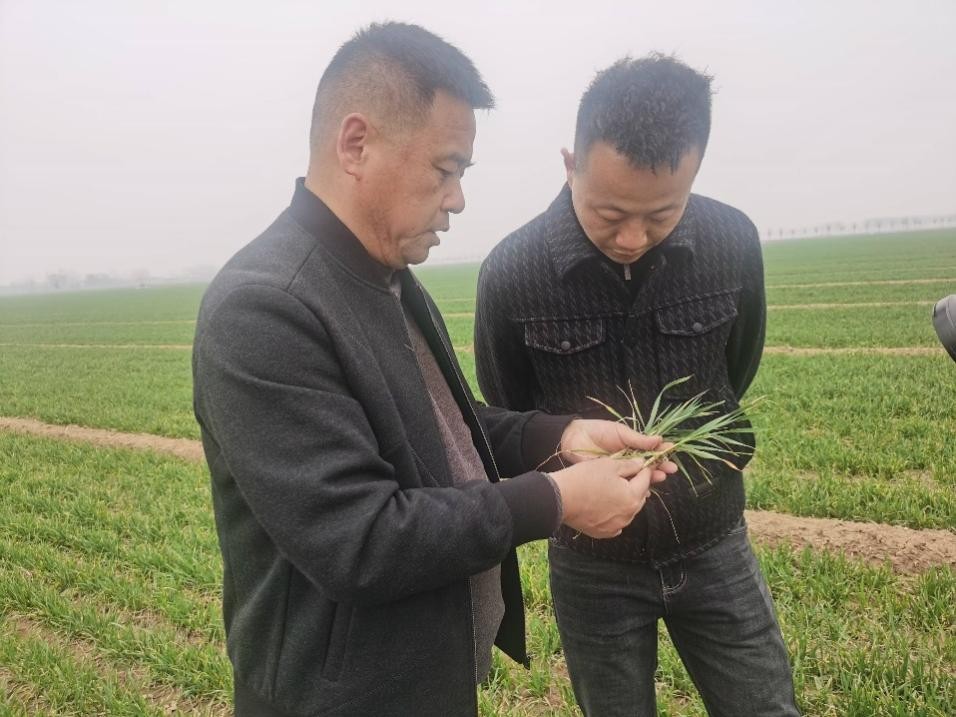 在山東濟寧汶上縣苑莊鎮(zhèn)，農(nóng)技員黃海龍對種糧大戶王振現(xiàn)場進行春耕指導(dǎo)。人民網(wǎng)記者 車柯蒙攝